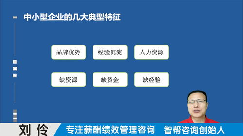 绩效薪酬管理咨询机构 第2集 中小型企业选育用留