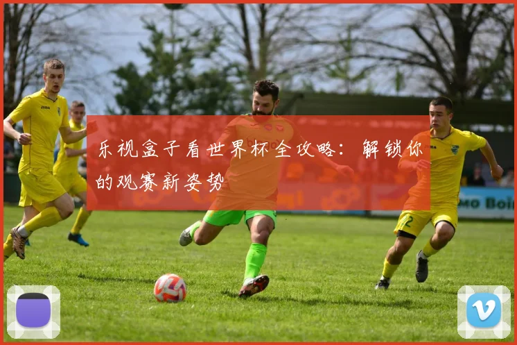 乐视盒子看世界杯全攻略：解锁你的观赛新姿势