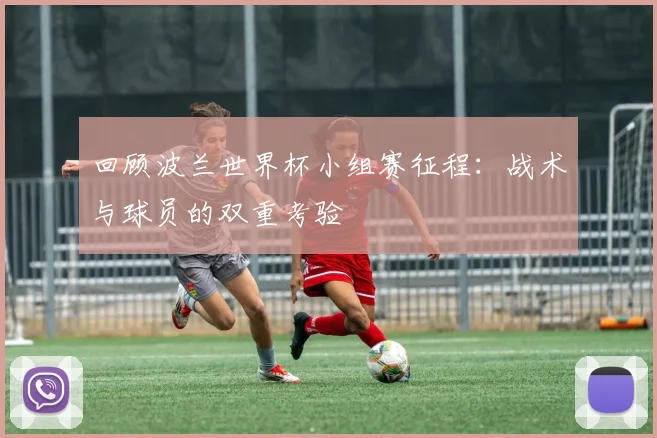回顾波兰世界杯小组赛征程：战术与球员的双重考验