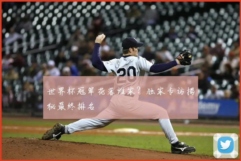 世界杯冠军花落谁家?独家专访揭秘最终排名