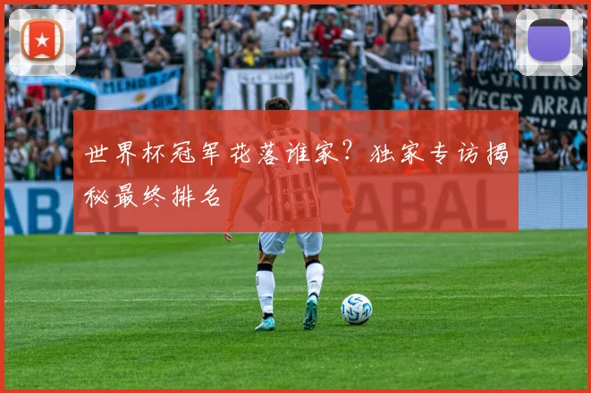世界杯冠军花落谁家？独家专访揭秘最终排名